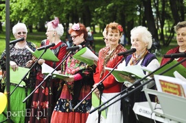 Chcą ożywić park Modrzewie