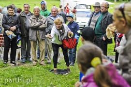 Chcą ożywić park Modrzewie
