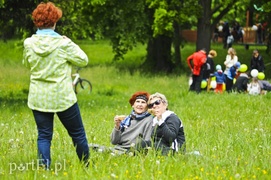 Chcą ożywić park Modrzewie