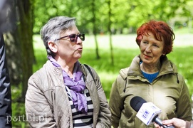 Chcą ożywić park Modrzewie