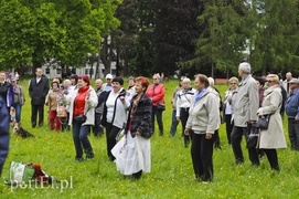 Chcą ożywić park Modrzewie