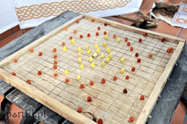 Wikingowie na wyciągnięcie ręki