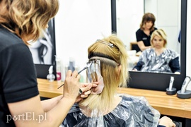 Szósty tydzień Metamorfozy