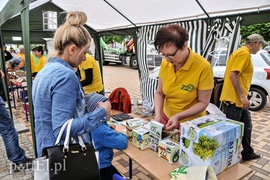 Segregowanie śmieci się opłaca Segregowanie śmieci się opłaca
