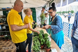 Segregowanie śmieci się opłaca