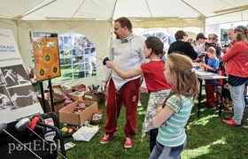 Nadali TON na bulwarze