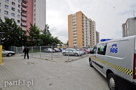 Dzik grasował na parkingu