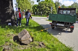 Pomniki przesunięte, skarbów nie znaleziono