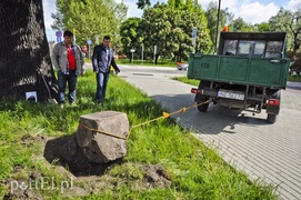 Pomniki przesunięte, skarbów nie znaleziono