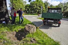 Pomniki przesunięte, skarbów nie znaleziono