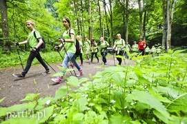 Maszerowali z kijkami aż miło