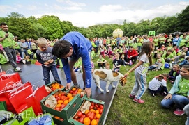 Maszerowali z kijkami aż miło