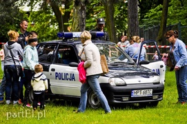 Piegusowe szaleństwo w parku Modrzewie