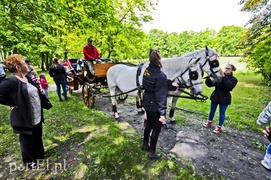 Piegusowe szaleństwo w parku Modrzewie