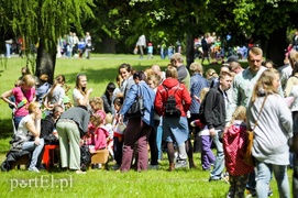 Piegusowe szaleństwo w parku Modrzewie