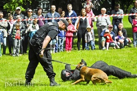 Piegusowe szaleństwo w parku Modrzewie