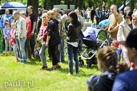 Piegusowe szaleństwo w parku Modrzewie