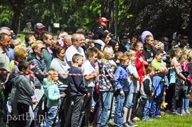 Piegusowe szaleństwo w parku Modrzewie