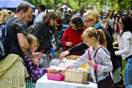 Piegusowe szaleństwo w parku Modrzewie