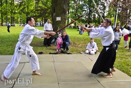 Piegusowe szaleństwo w parku Modrzewie
