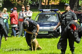 Piegusowe szaleństwo w parku Modrzewie