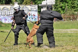 Policja kontra kibice na stadionie
