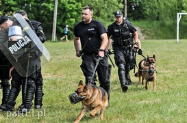 Policja kontra kibice na stadionie