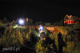 Pociąg uderzył w stado krów