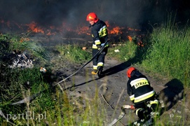 Pożar dzikiego wysypiska zdjęcie nr 108215