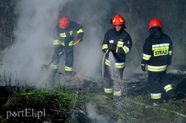 Pożar dzikiego wysypiska zdjęcie nr 108218