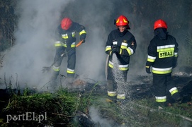 Pożar dzikiego wysypiska