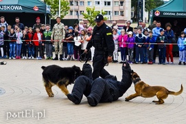 Świętowali z mieszkańcami Elbląga