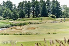 Golf dla zdrowia
