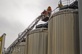 Strażacy walczyli z amoniakiem