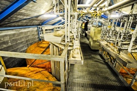 Strażacy walczyli z amoniakiem Strażacy walczyli z amoniakiem