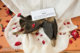 To elblążanie robili w ukryciu