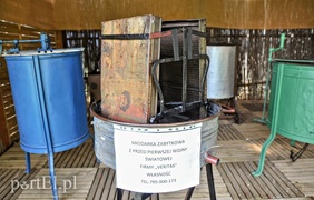 Najbardziej miodowe targi w okolicy