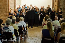 Bo kolega nazywa się Elbing