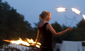 Wyspa Spichrzów siedzibą Wikingów