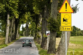 Uderzył w drzewo, wylądował na dachu