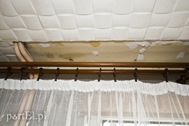 To porządna rodzina. Warto jej pomóc!