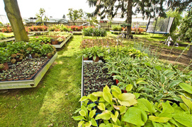 To one poprawiają komfort życia