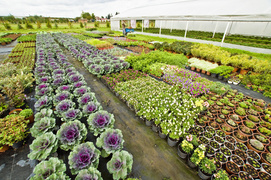 To one poprawiają komfort życia