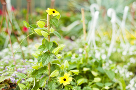 To one poprawiają komfort życia