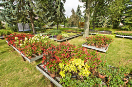 To one poprawiają komfort życia