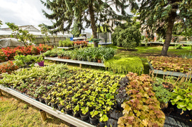 To one poprawiają komfort życia