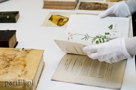 Nakarm duszę w Bibliotece
