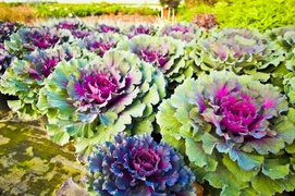 Dbajmy o nie przez cały rok