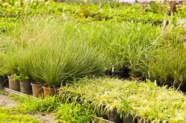 Dbajmy o nie przez cały rok