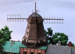 Holender z Wikrowa na dożynkach